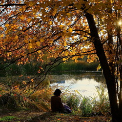 Пазл: Наедине с осенью