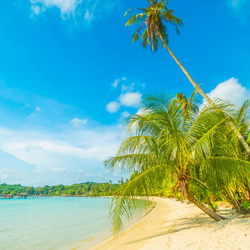 Пазл: Сказка