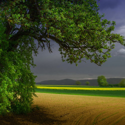 Пазл: Перед грозой