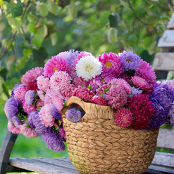 Пазл: Корзина астр