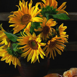 Пазл: Подсолнухи