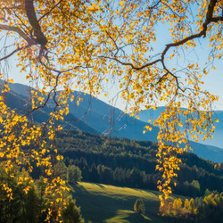 Пазл: Осеннее солнце