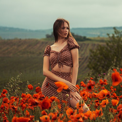 Пазл: В поле маков