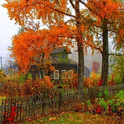 Пазл: Волшебница осень