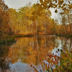 Пазл: Золотое отражение