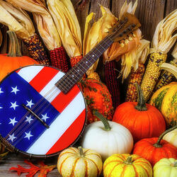 Пазл: Американское банджо