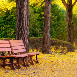 Пазл: Осень в парке