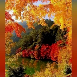 Пазл: Осенняя пора