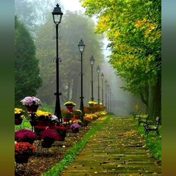 Пазл: Тихо приходит осень