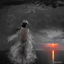 Пазл: На закате