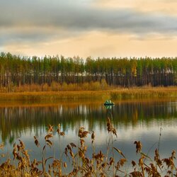Пазл: Осенняя пора