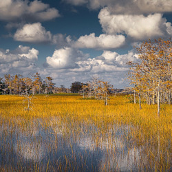 Пазл: Отражение осени