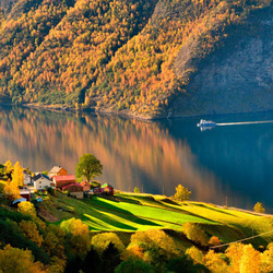 Пазл: Осенние горы и лес