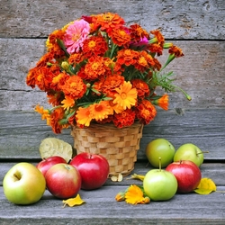 Пазл: Букет осенних цветов с яблоками
