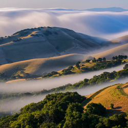 Пазл: Холмы и туман