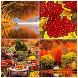 Пазл: Осенняя безмятежность