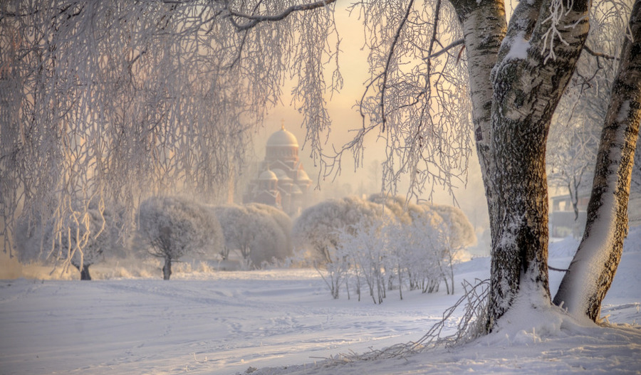 Пазл «Зимний денек» из 170 элементов | Собрать онлайн пазл №244116