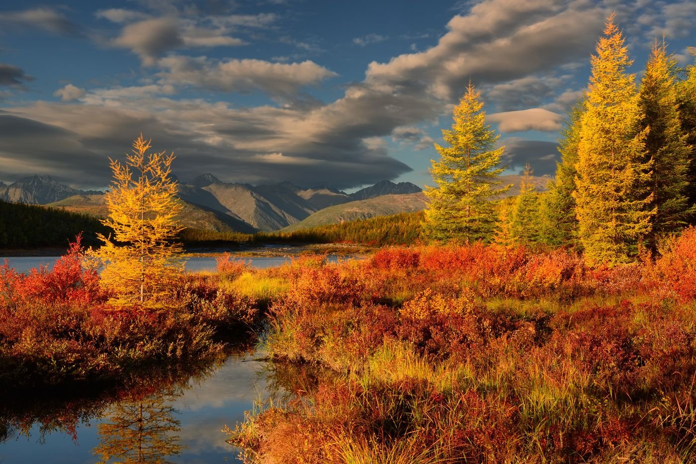 Пазл «Осенний пейзаж» из 345 элементов | Собрать онлайн пазл №244227