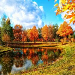 Пазл: Краски осени