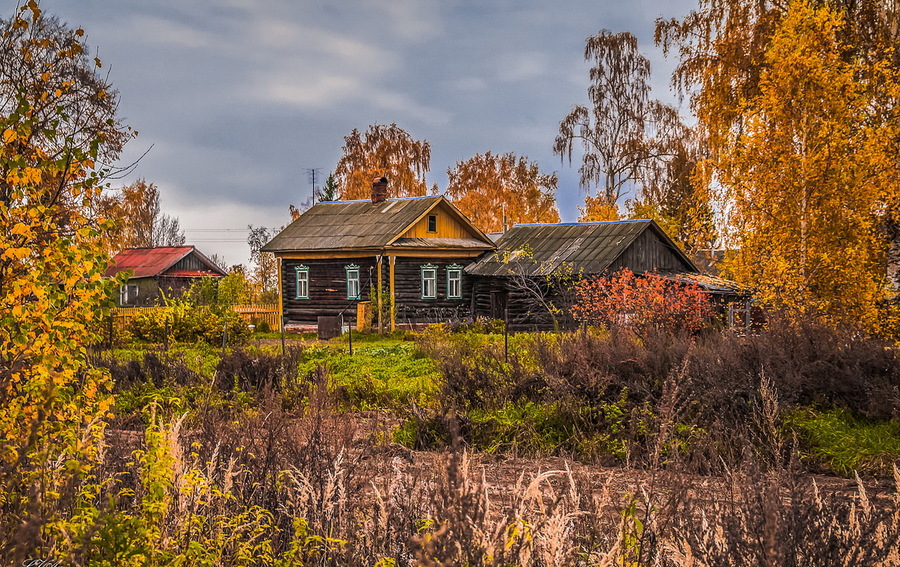 Деревенская фотография читать