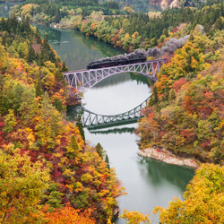 Пазл: Мост через осень