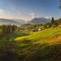 Пазл: Горы и лес