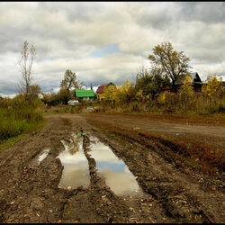 Пазл: Тихо умирает осень