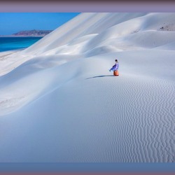 Пазл: На белоснежных дюнах