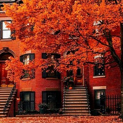 Пазл: Осень в Бостоне