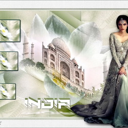 Пазл: Индия