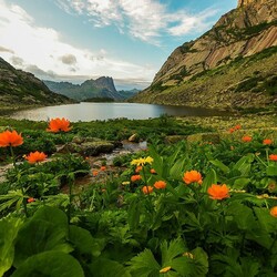 Пазл: Природный парк