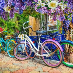 Пазл: Велосипеды во дворе кондитерской