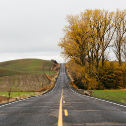 Пазл: Осенняя дорога