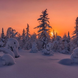 Пазл: Зимний вечер