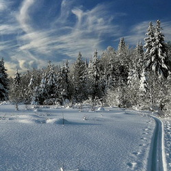 Пазл: Под белым покрывалом