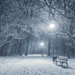 Пазл: Зимний вечер в парке