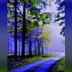 Пазл: В сиреневом лесу