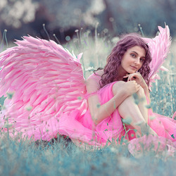 Пазл: Девушка с розовыми крыльями