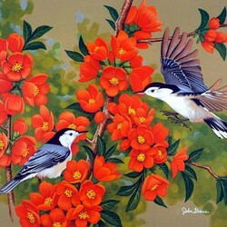 Пазл: Поползень