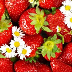 Пазл: Сладкое лакомство