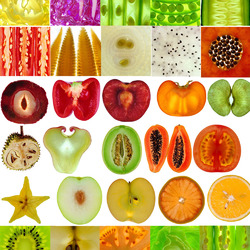 Пазл: В разрезе