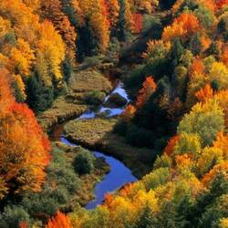 Пазл: Голубая лента осени