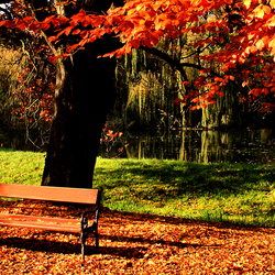 Пазл: Осень