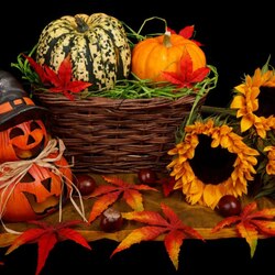 Пазл: Тыквы для Хэллоуина