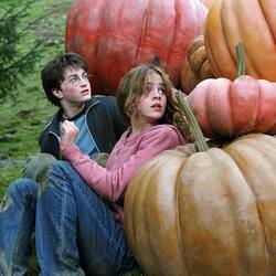 Пазл: Гарри Поттер