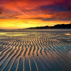 Пазл: Отлив