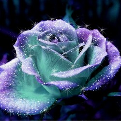 Пазл: Блеск