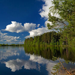 Пазл: Красоты природы