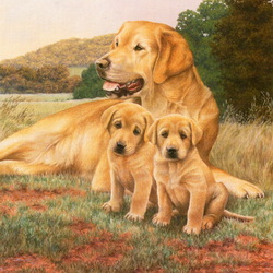 Пазл: Мама с щенками