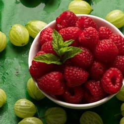 Пазл: Крыжовник и малина